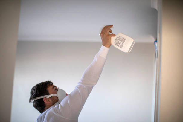 Best Affordable Mold Removal  in Carlisle Rockledge, AL