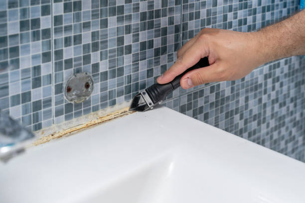 Certified Mold Removal in Carlisle Rockledge, AL