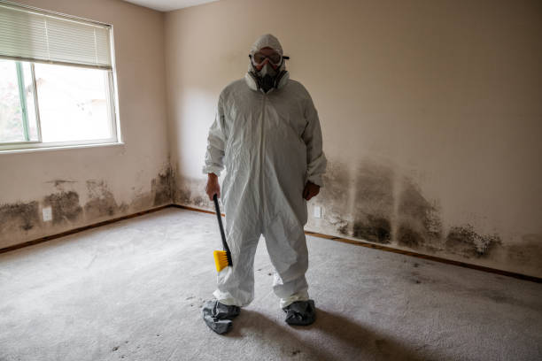 Home Mold Removal in Carlisle Rockledge, AL